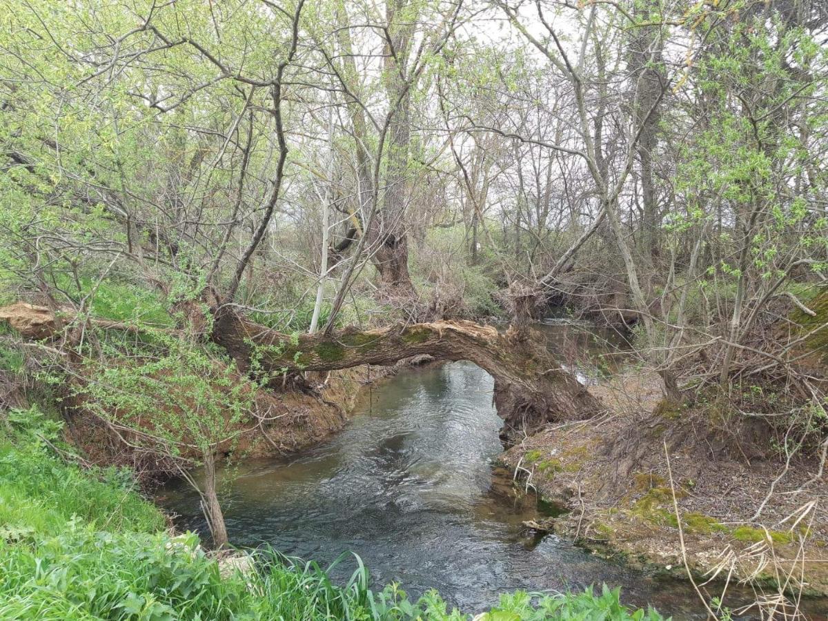 Georgia'S Village House Kondostavlos Bagian luar foto